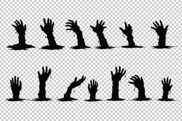 ilustraciones, imágenes clip art, dibujos animados e iconos de stock de fantasmas de manos que se elevan de la tumba de halloween en fondo transparente. - zombie halloween cemetery human hand