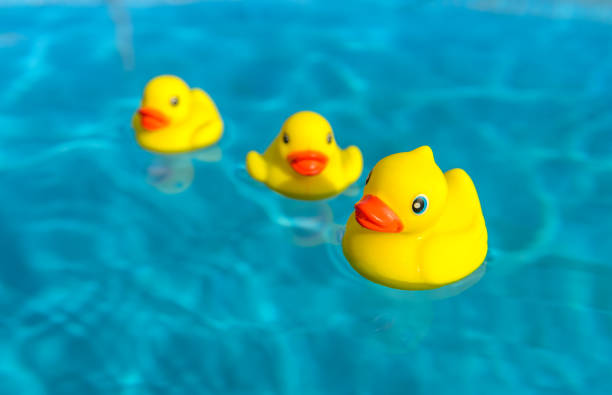 istock Rubber duck family 1163084778