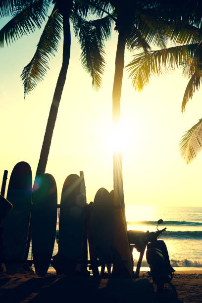 istock Silhouette surfboards beside coconut trees at summer beach with sun light and blue sky background. 1163088670