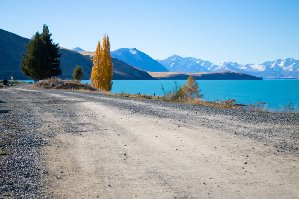 istock Path with great scenery at Lake Tekapo, New Zealand 1163091341