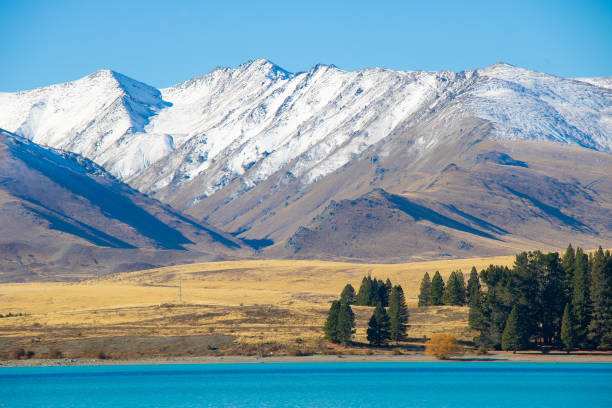 istock Great scenery at Lake Tekapo,, New Zealand 1163091375