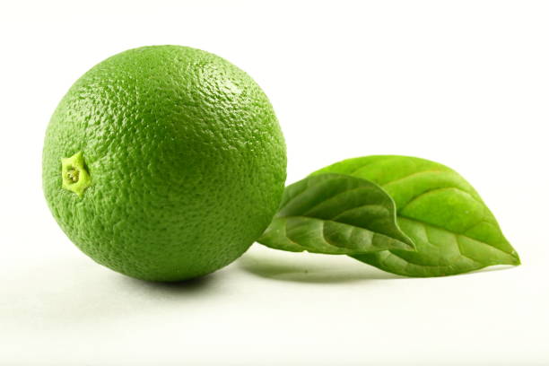 istock Raw green lime organic farming concept. 1163091465