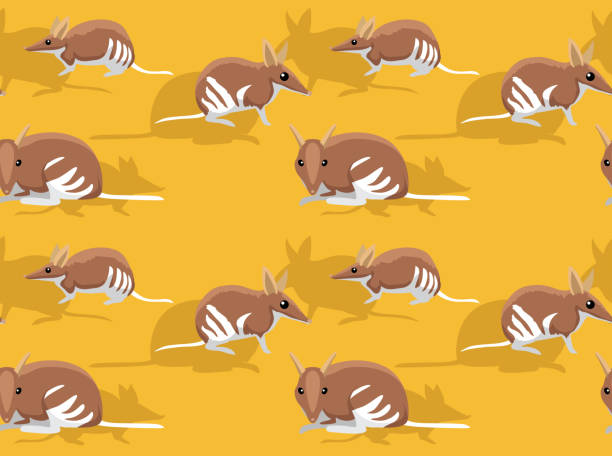 ilustrações, clipart, desenhos animados e ícones de bonito oriental barrada bandicoot cartoon fundo sem emenda wallpaper - bilby