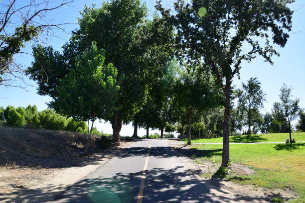 A bike and walk trail in Bakersfield, CA.