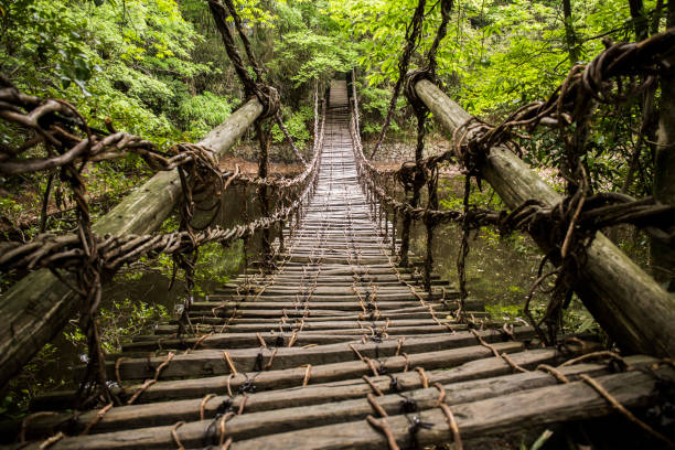 istock Vine Bridge at Shikoku village 1163096029