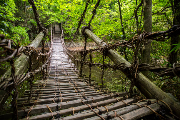 istock Vine Bridge at Shikoku village 1163096032