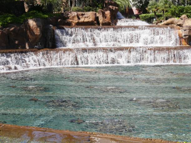 istock Waterfalls in a landscaped garden 1163097157