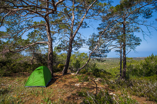 Tourist tent in a forest, Akamas Peninsula National Park, Cyprus