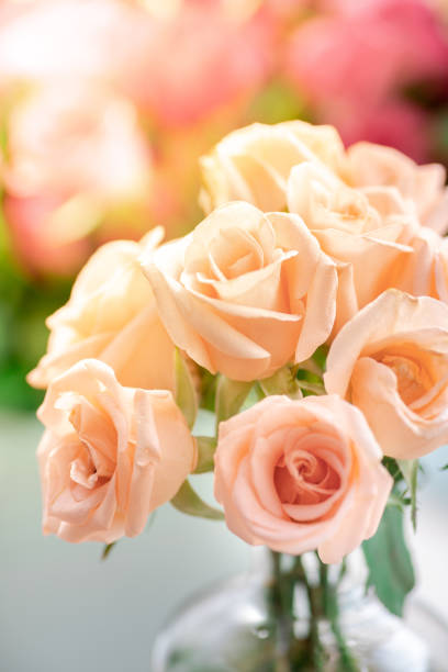 istock orange rose bouquet in the vase 1163103991