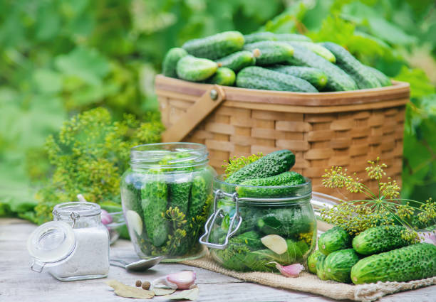 istock preservation of fresh house cucumbers. Selective focus. 1163106981