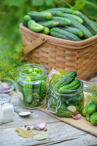 istock preservation of fresh house cucumbers. Selective focus. 1163106985