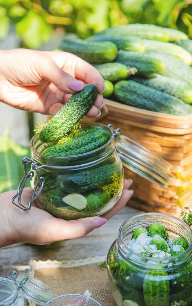 istock preservation of fresh house cucumbers. Selective focus. 1163106988