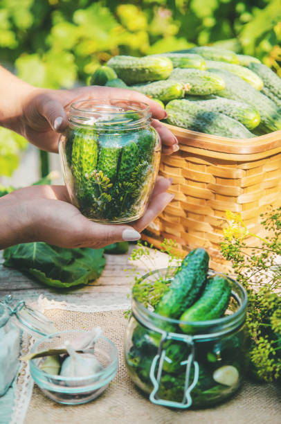 istock preservation of fresh house cucumbers. Selective focus. 1163106989