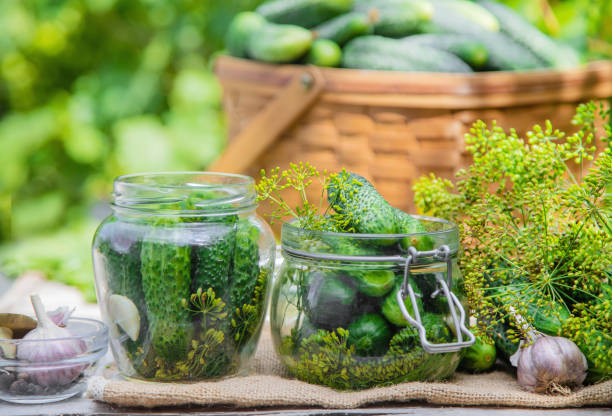 istock preservation of fresh house cucumbers. Selective focus. 1163106997