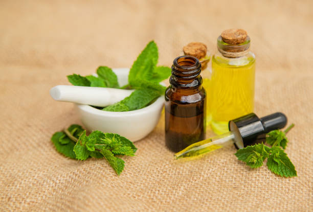 istock medicinal herbs. Selective focus. medicine and health. 1163107056