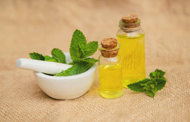 istock medicinal herbs. Selective focus. medicine and health. 1163107070