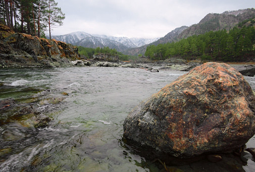 Stone block of Golden color in the green waters of a mountain river. Trees and pine trees on the steep banks, snow-capped mountains in the distance. Pure nature of Siberia, Russia, 2019