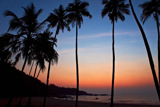 istock Empty beach, boat in the sea, waves and sunset in Goa in India 1163125069