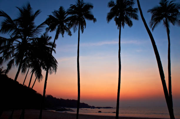 istock Empty beach, boat in the sea, waves and sunset in Goa in India 1163125955