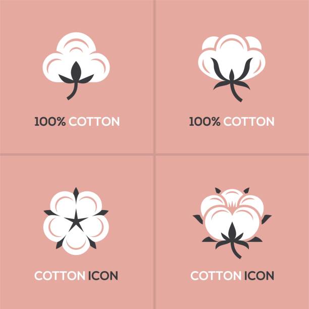 Cotton logo set. Four white cotton logo, symbol, icon set on pink background. boll stock illustrations