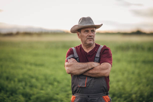 istock Senior farmer at field portrait 1163130184
