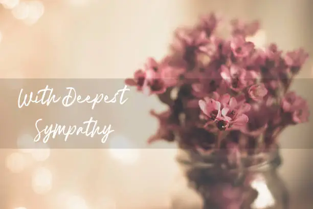 Photo of With Deepest Sympathy Card With Pink Bergenia in a Glass Vase Background