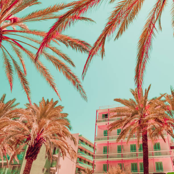istock Hotels and palm trees. Tropical beach style. Minimal 1163132639