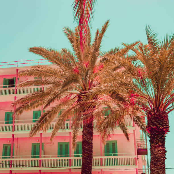 istock Hotel building and palm trees. Tropical beach style. 1163132663
