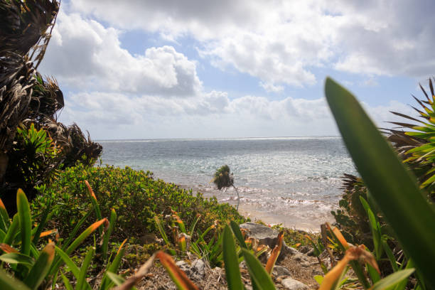 istock a fantastic view over the ruins in Mexico 1163133668