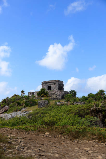 istock stones of the mayas in Tulum 1163133805