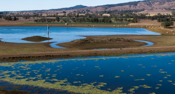 istock Water for the Farm 1163133997