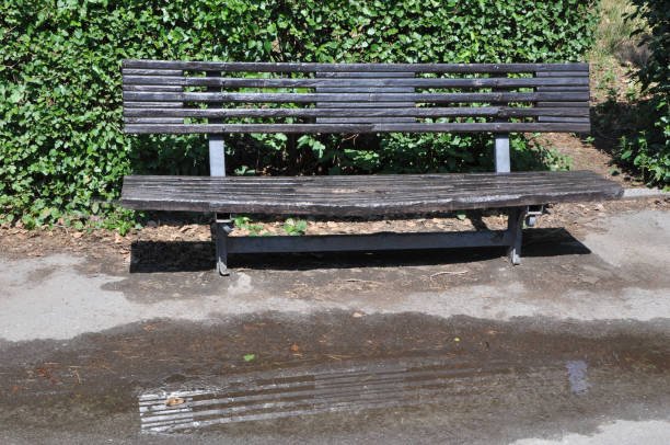 istock Black bench in a park after summer rain 1163134050