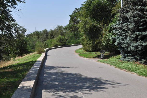 istock Right turning alley among park trees 1163134100