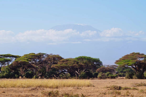 istock the kilimanjaro in kenya 1163136291