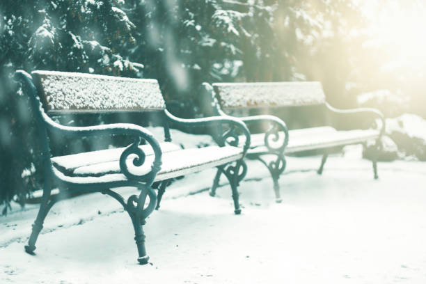 istock Snowing on the benches in a park in winter 1163137328