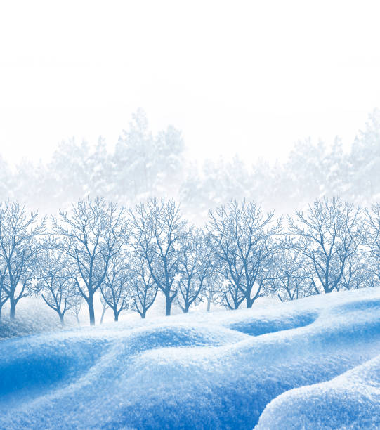 istock Winter landscape. snow covered trees. 1163140036