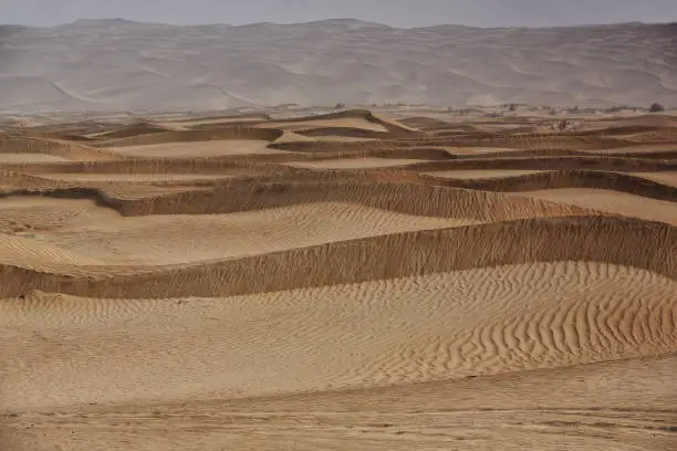 Moving sand dunes cover the surface of the Taklamakan Desert forming chains of these eolian topographic forms-some of them reaching up to 300 ms.high. Yutian Keriya county-Xinjiang Uyghur region-China