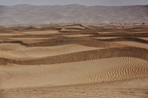 przesuwające się wydmy-pustynia takla makan. yutian keriya county-xinjiang uyghur region-chiny-0224 - sandscape zdjęcia i obrazy z banku zdjęć