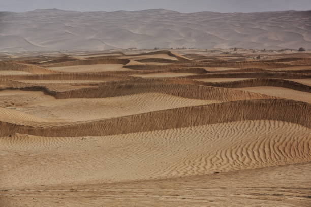 shifting sand dunes-takla makan desert. yutian keriya county-xinjiang uyghur region-china-0224 - sandscape imagens e fotografias de stock