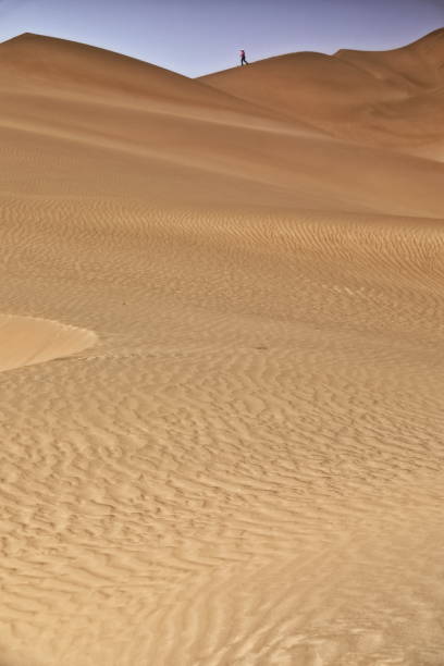 shifting sand dunes-takla makan desert. yutian keriya county-xinjiang uyghur region-china-0239 - sandscape imagens e fotografias de stock