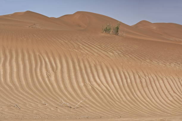 przesuwające się wydmy-pustynia takla makan. yutian keriya county-xinjiang uyghur region-chiny-0233 - sandscape zdjęcia i obrazy z banku zdjęć