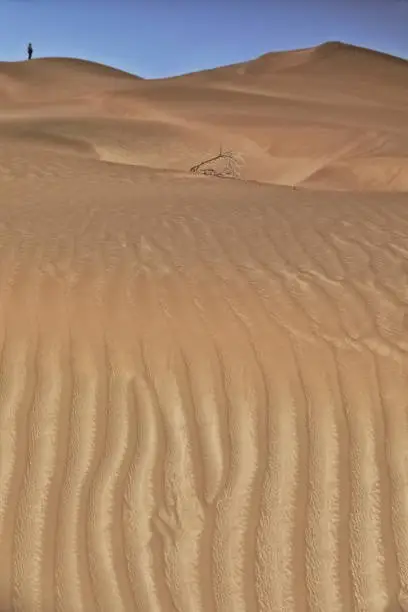 Chains of moving sand dunes cover the surface of the Taklamakan Desert some of them reaching up to 300 ms.high-small human figure on top background. Yutian Keriya county-Xinjiang Uyghur region-China.