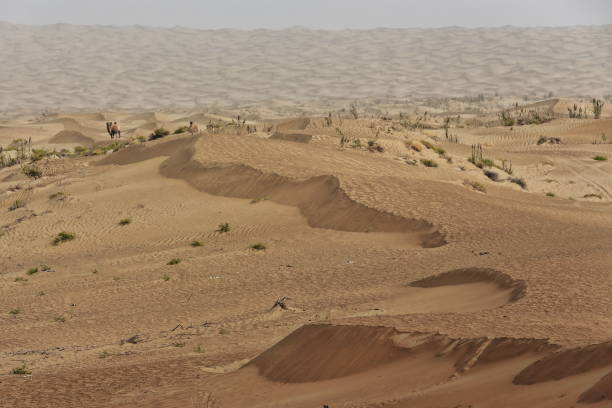 shifting sand dunes-takla makan desert. yutian keriya county-xinjiang uyghur region-china-0222 - sandscape imagens e fotografias de stock