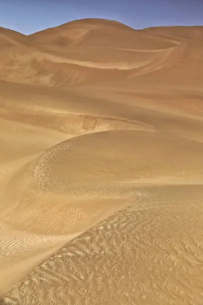 Moving sand dunes cover the surface of the Taklamakan Desert forming chains of these eolian topographic forms-some of them reaching up to 300 ms.high. Yutian Keriya county-Xinjiang Uyghur region-China