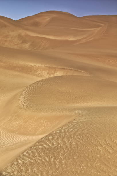 shifting sand dunes-takla makan desert. yutian keriya county-xinjiang uyghur region-china-0244 - sandscape imagens e fotografias de stock