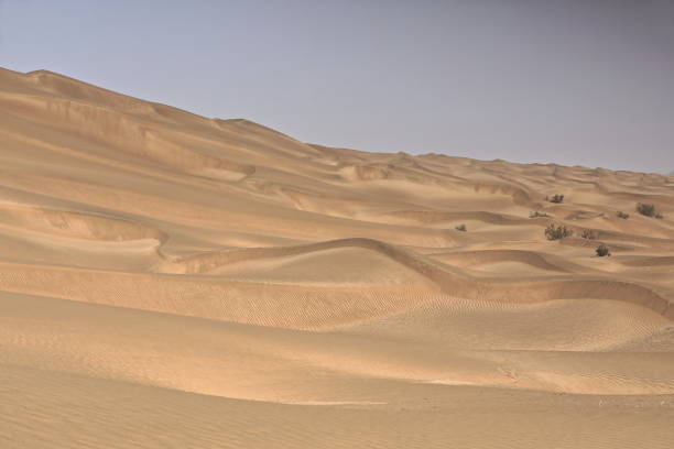 shifting sand dunes-takla makan desert. yutian keriya county-xinjiang uyghur region-china-0242 - sandscape imagens e fotografias de stock