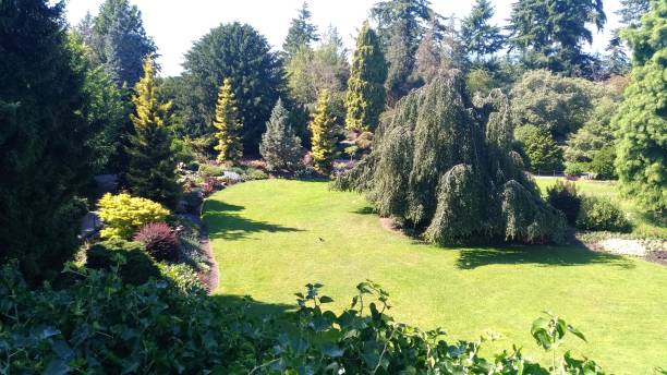 istock Elizabeth Garden - Vancouver 1163140906