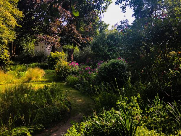 istock Beautiful summer garden 1163140995