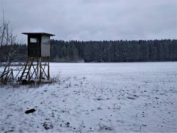 istock Snowy meadow with forest and high seat 1163144019