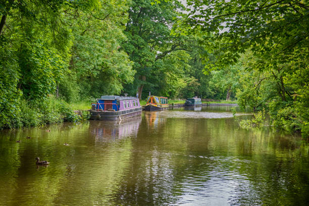 istock Narrowboats on a British canal in rural setting 1163144552